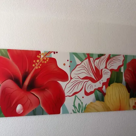 Apartamento Mit Gemeinschaftlichem Pool *